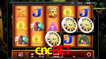 Desvendando o Mundo dos Jogos Virtuais na cncbet